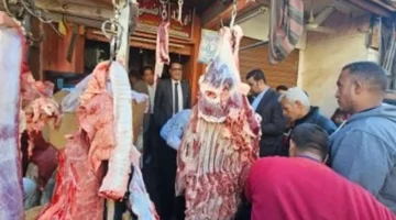 تحديثات الأقصر.. تباين أسعار اللحوم بين محلات الجزارة ومنافذ التموين اليوم الإثنين